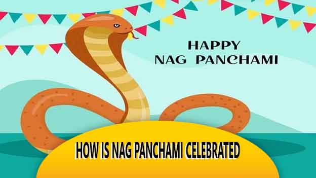 How Is Nag Panchami Celebrated