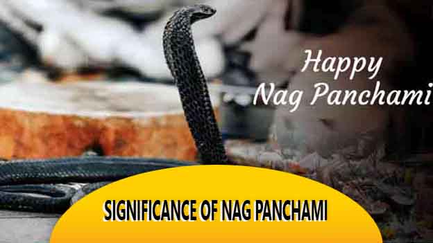 Significance Of Nag Panchami