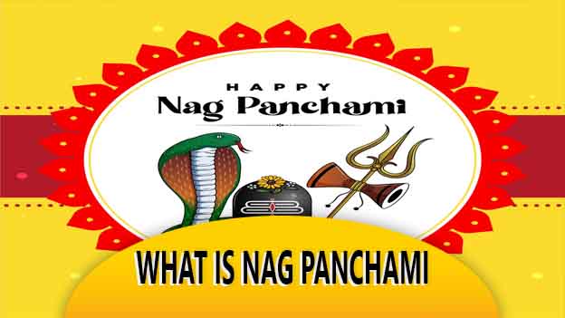 What Is Nag Panchami