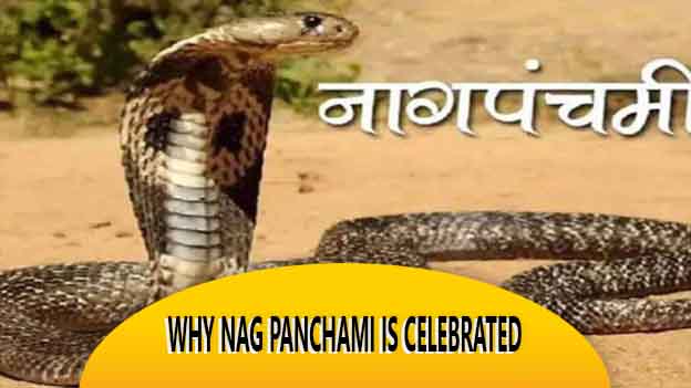 Why Nag Panchami Is Celebrated